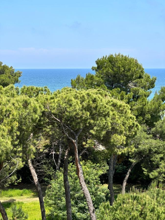 Lortica Apartment Πεσκάρα Εξωτερικό φωτογραφία